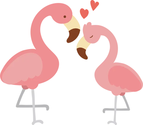 Cuki páros flamingó