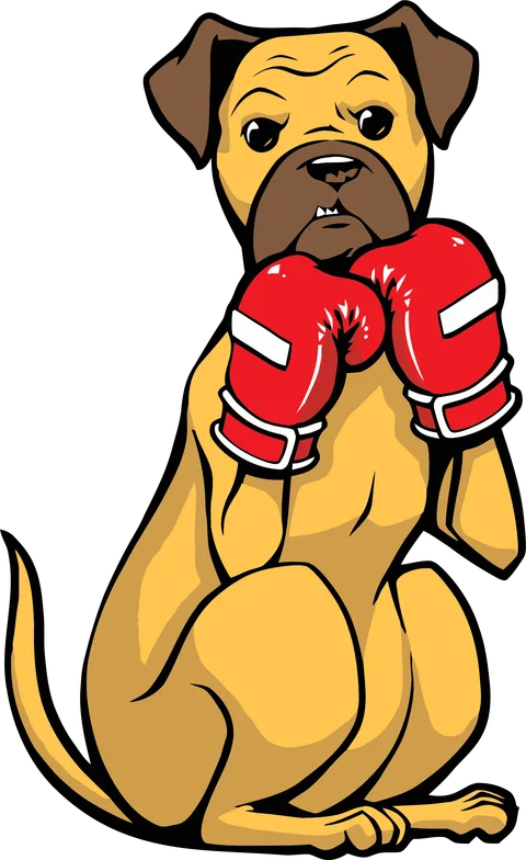 Boxoló boxer