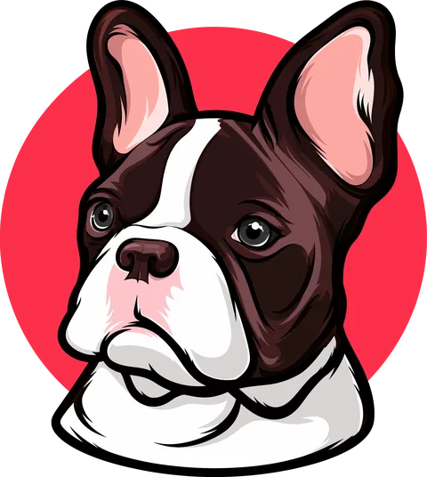 Francia buldog portré