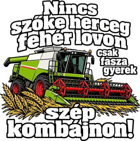 Fasza gyerek, szép kombájnon