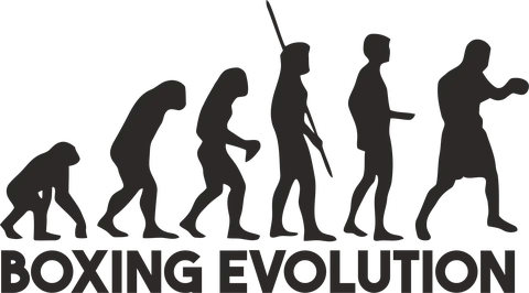 Boxing evolution
