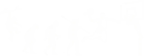 Kosárlabda evolúció