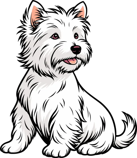 Fehér kis westie