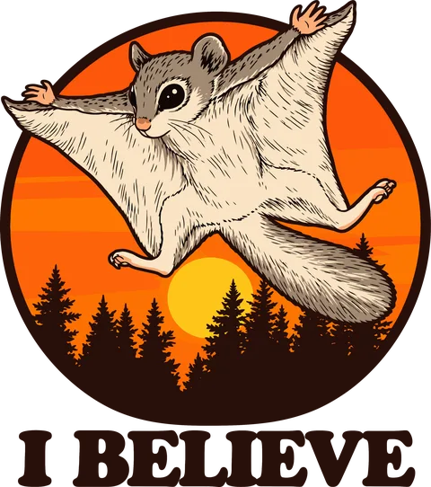 I believe, I can fly