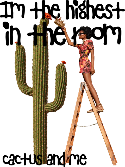 Im the highest in the room