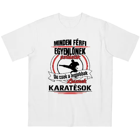 Karatés férfiak