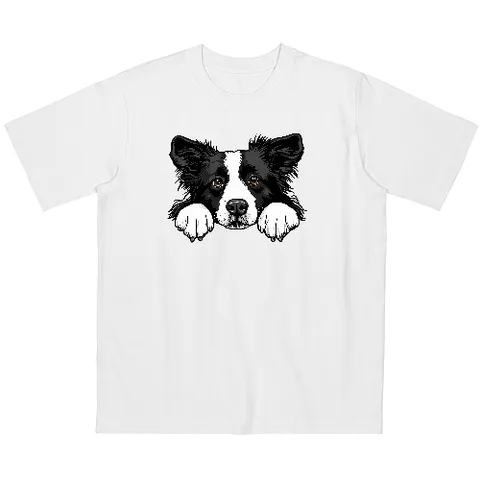Collie