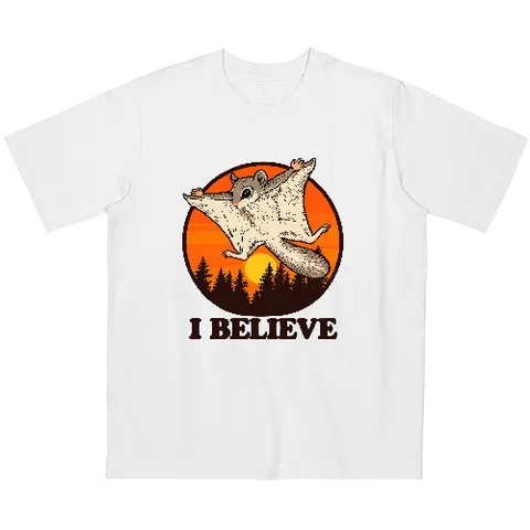 I believe, I can fly