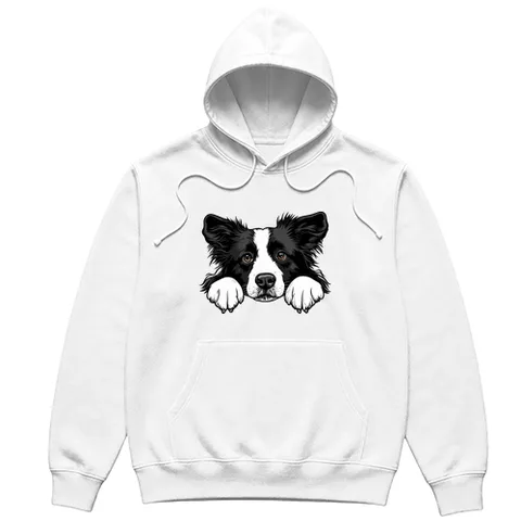 Collie