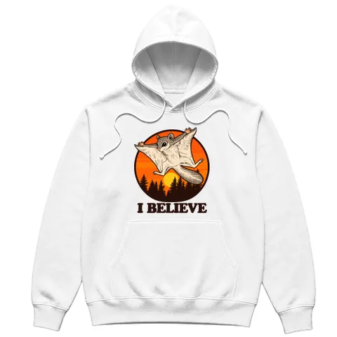 I believe, I can fly