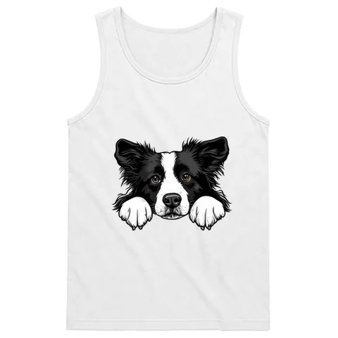 Collie