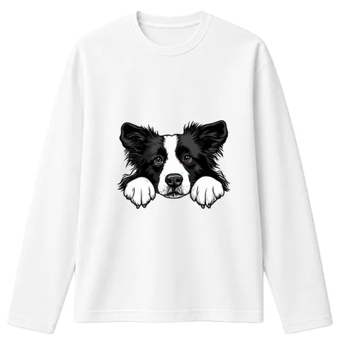 Collie