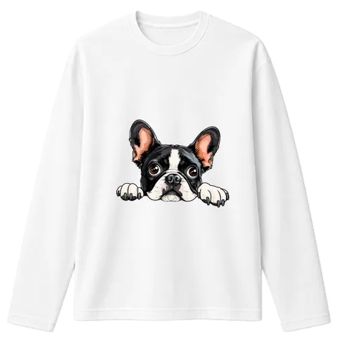 Fekvő francia buldog