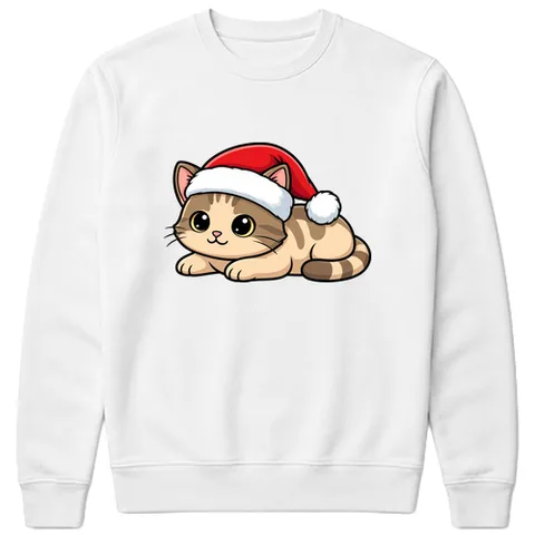 Mikulás cica