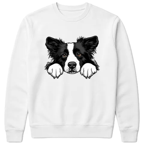 Collie