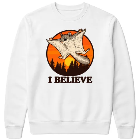 I believe, I can fly